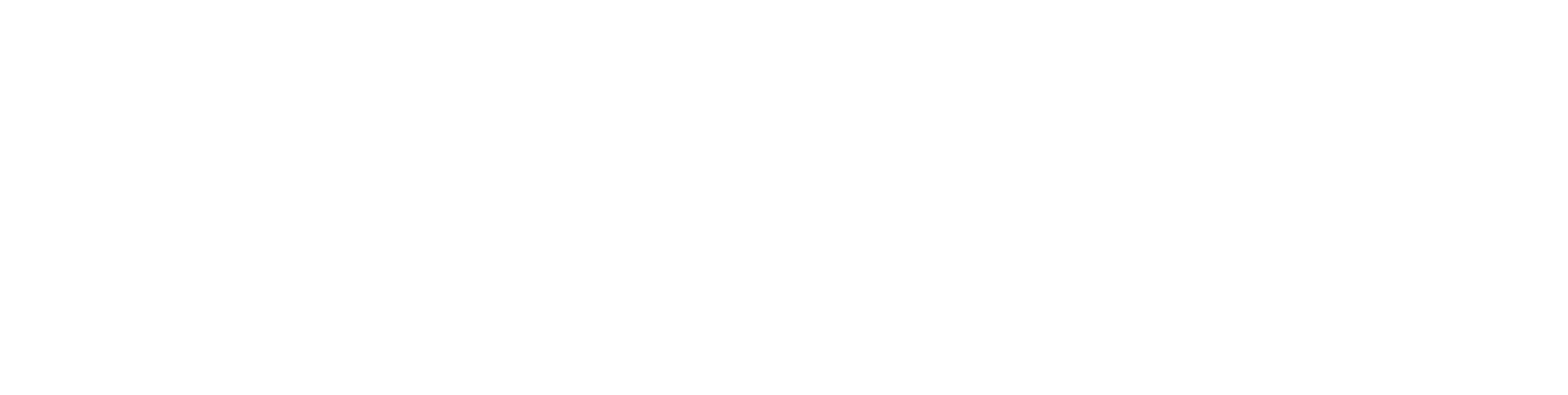Titan Import Logo